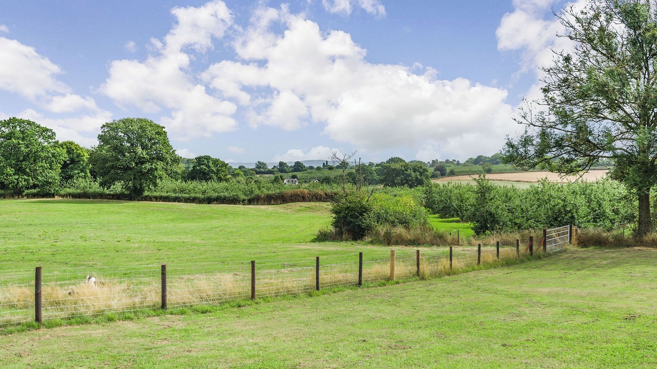 Photo of Others in Kington