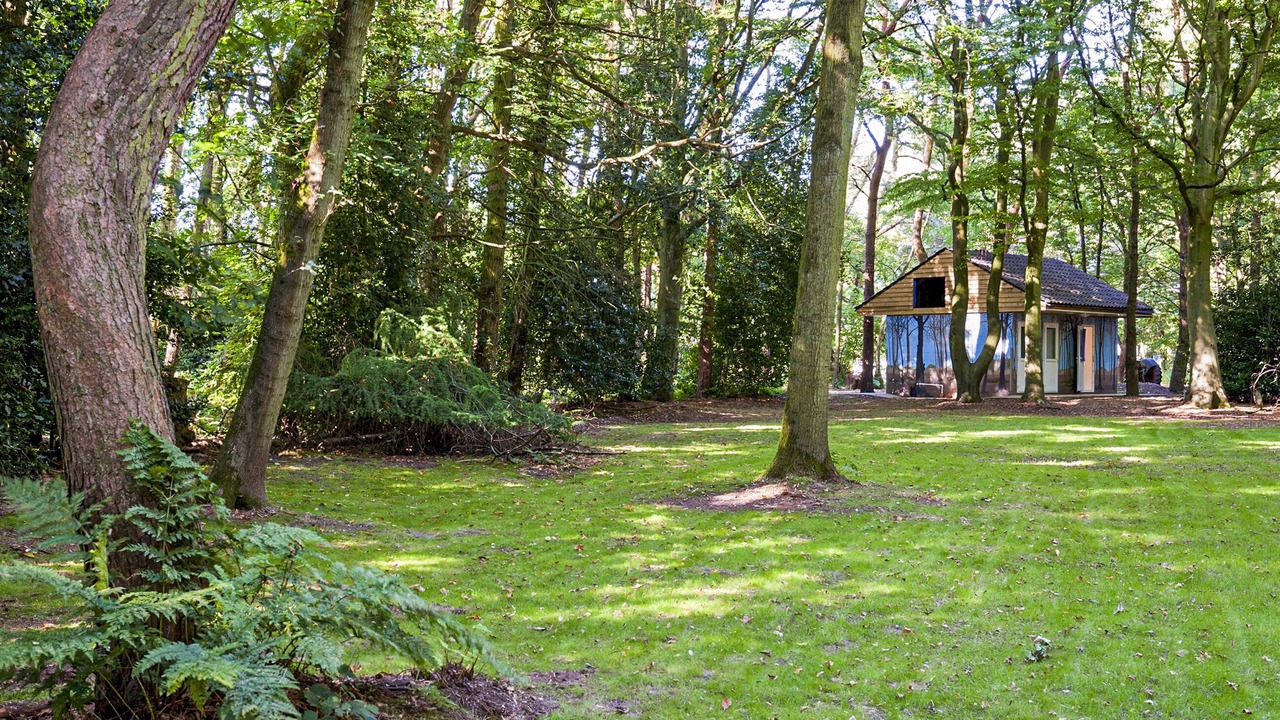 Photo of Outdoor in Melton Constable