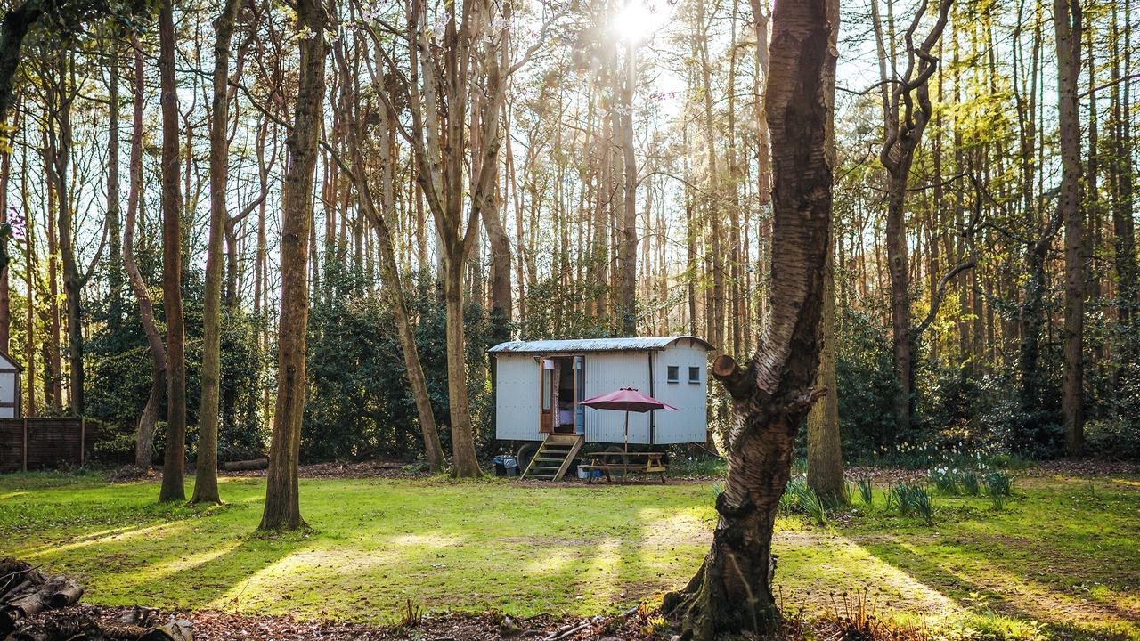 Photo of Outdoor in Melton Constable