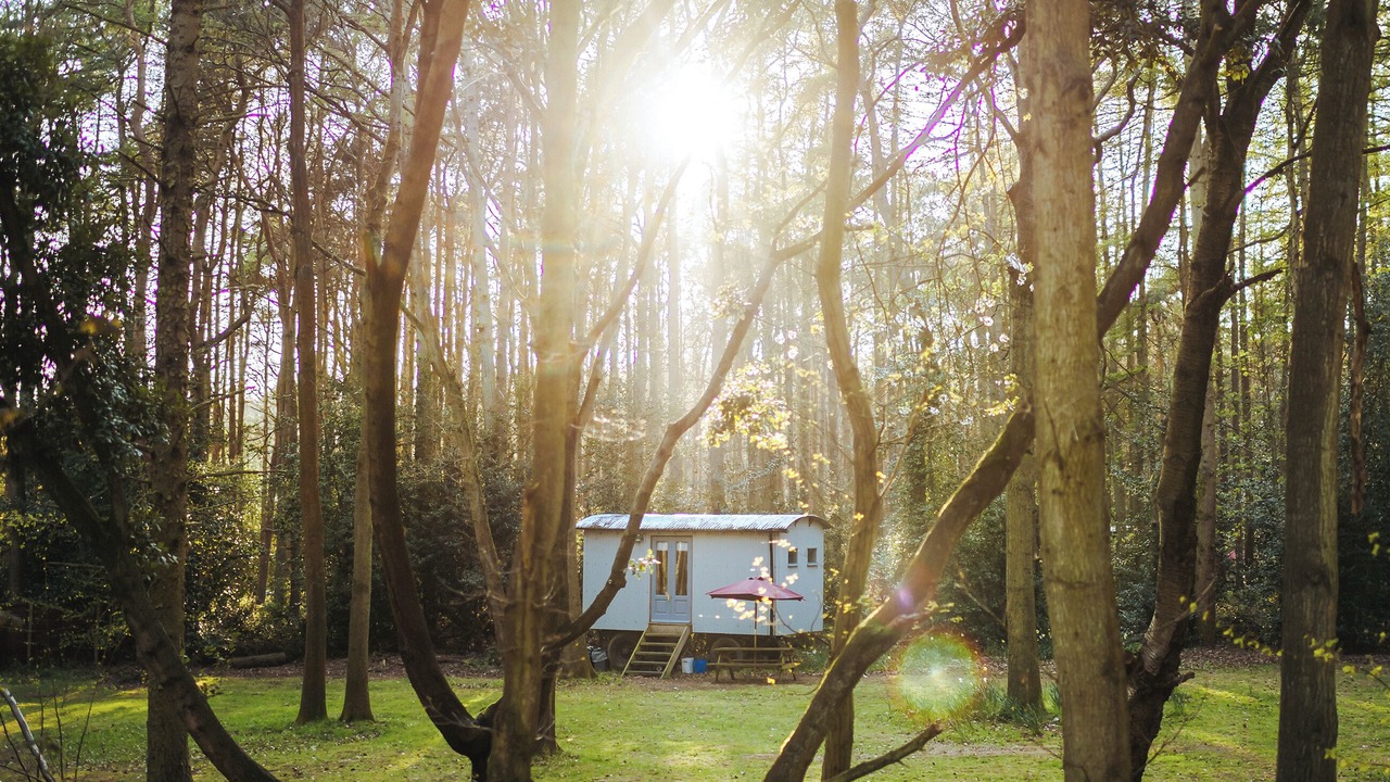 Photo of Outdoor in Melton Constable