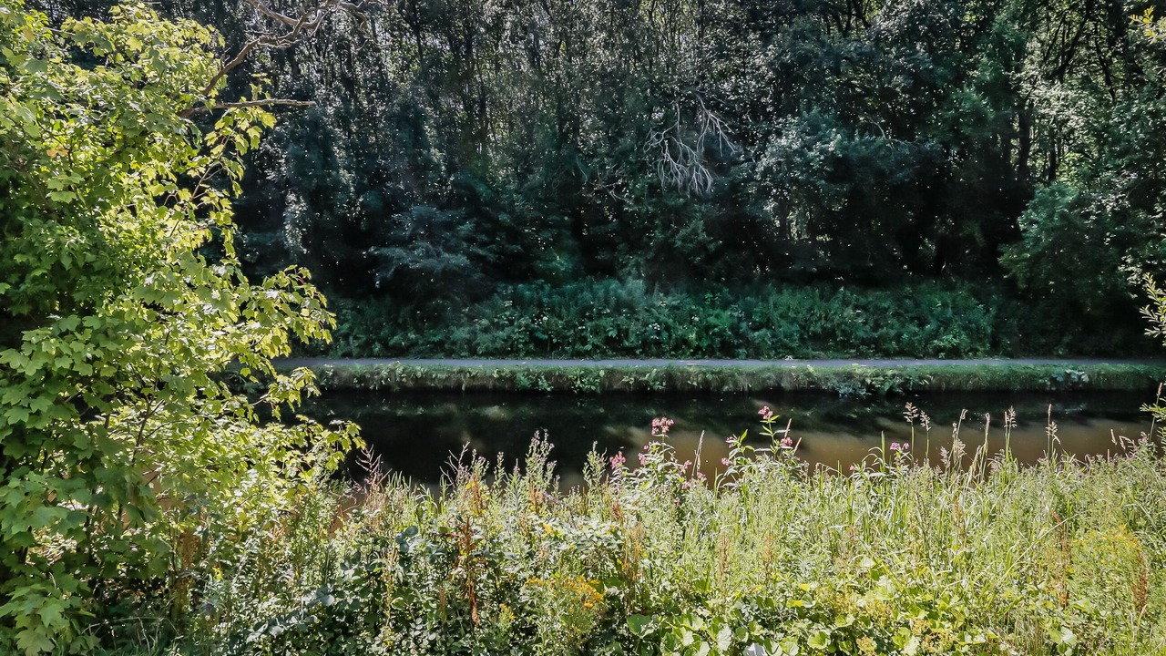 Photo of Others in Rastrick