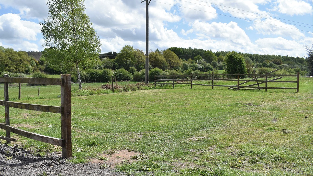 Photo of Others in Sherwood Forest