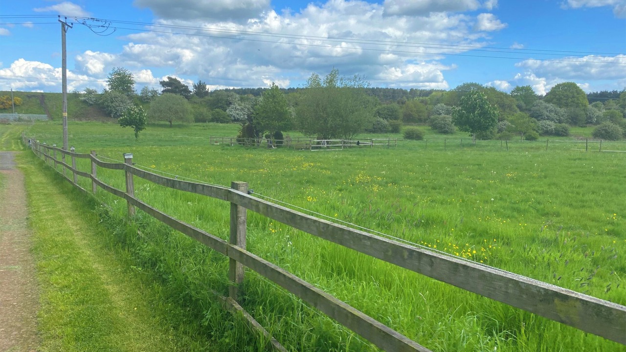 Photo of Others in Sherwood Forest