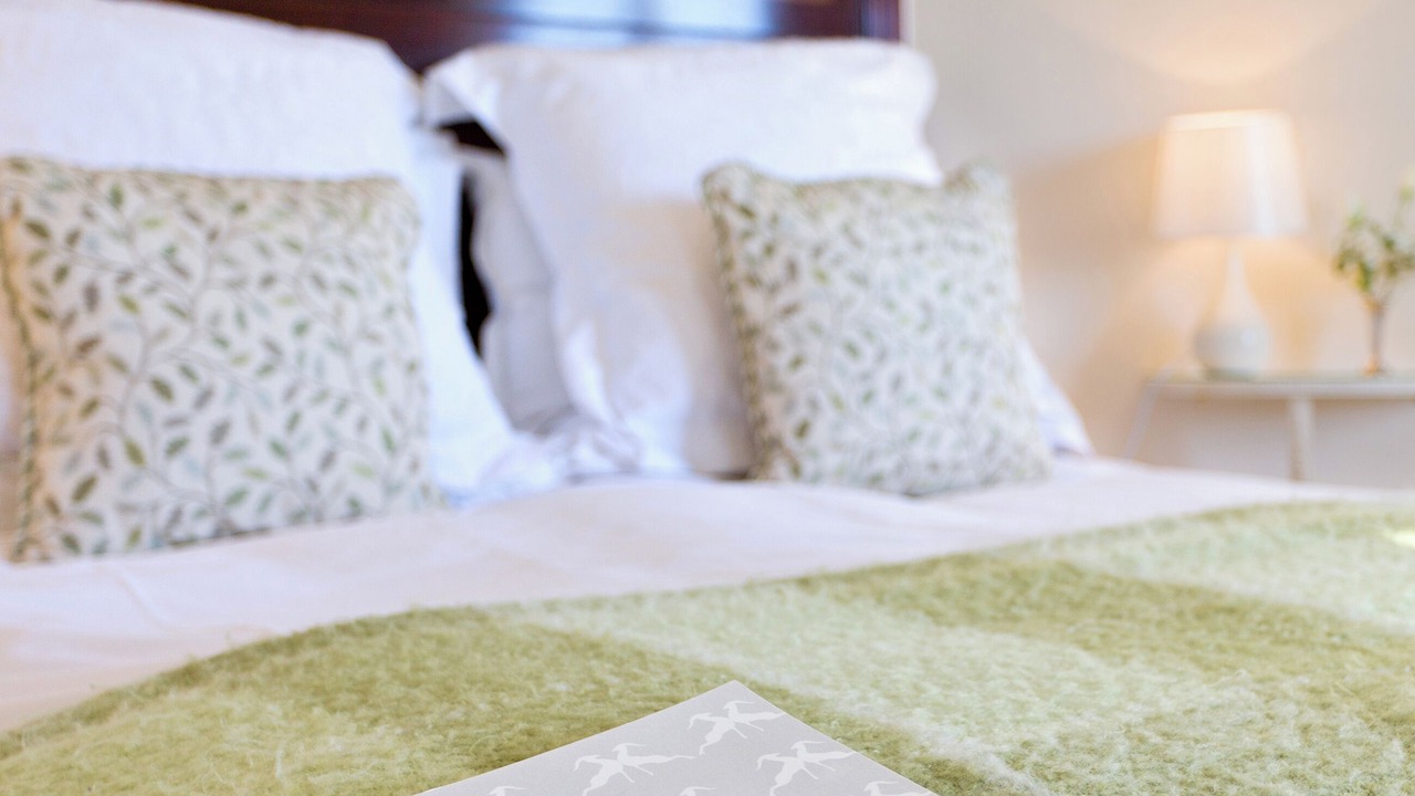 Photo of Others in Wells