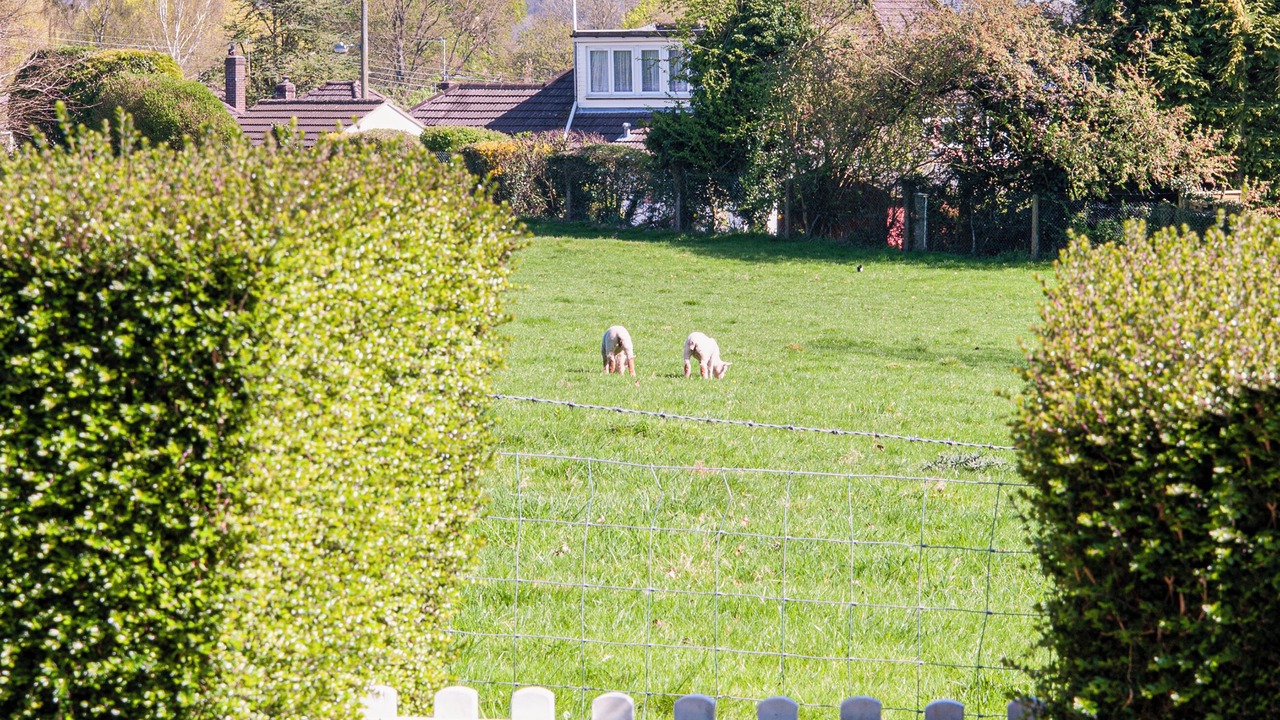 Photo of Others in Wells