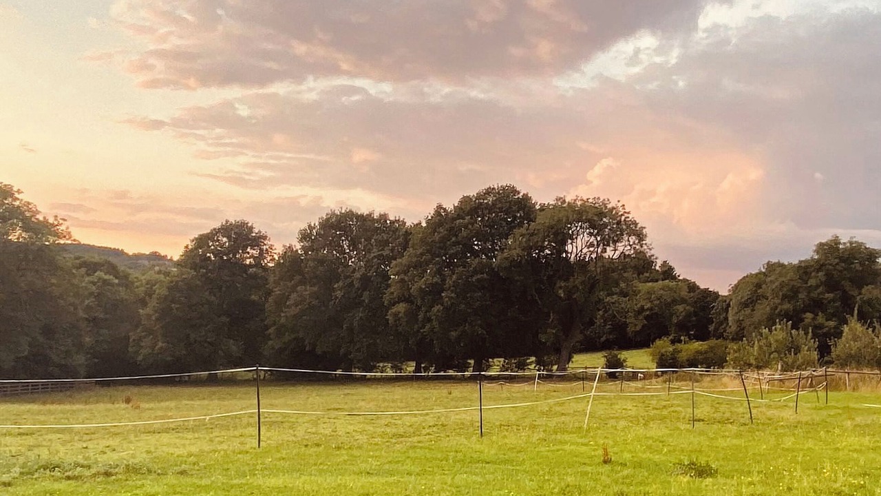 Photo of Others in Old Brampton