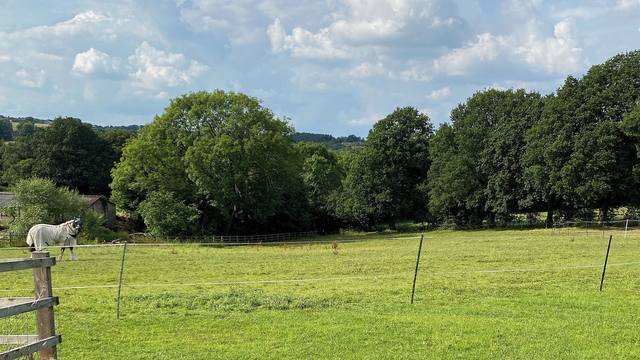 Photo of Others in Old Brampton