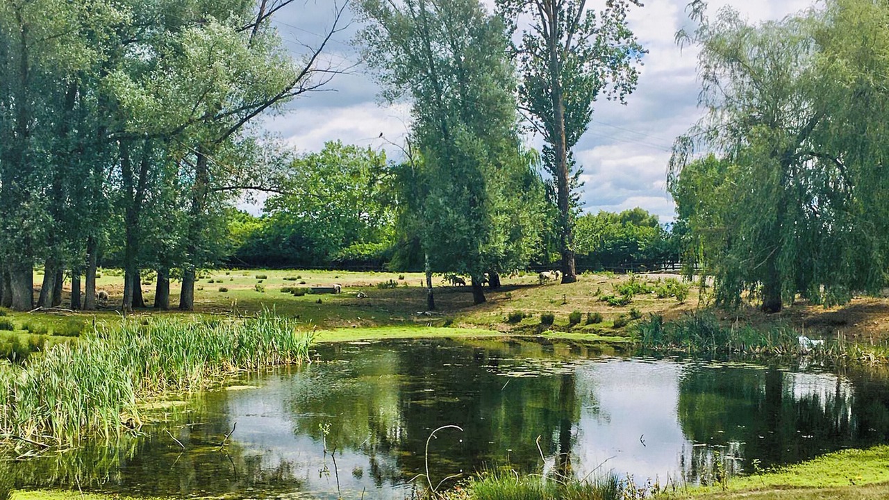 Photo of Others in Binsted