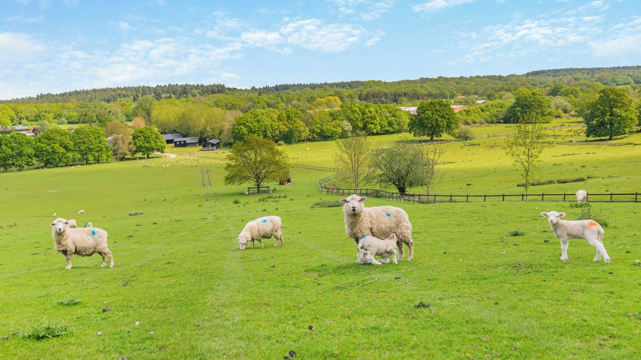 Photo of Outdoor in Binsted