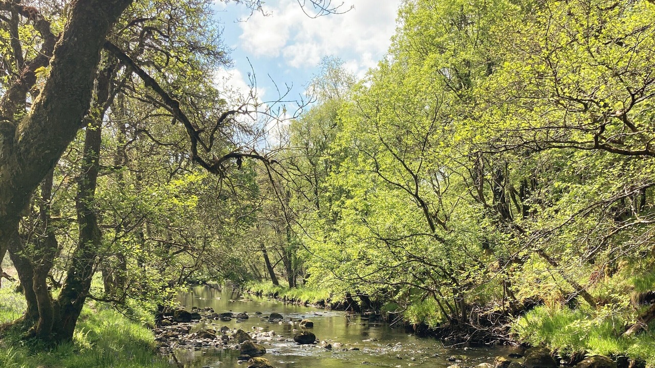 Photo of Others in Torlundy