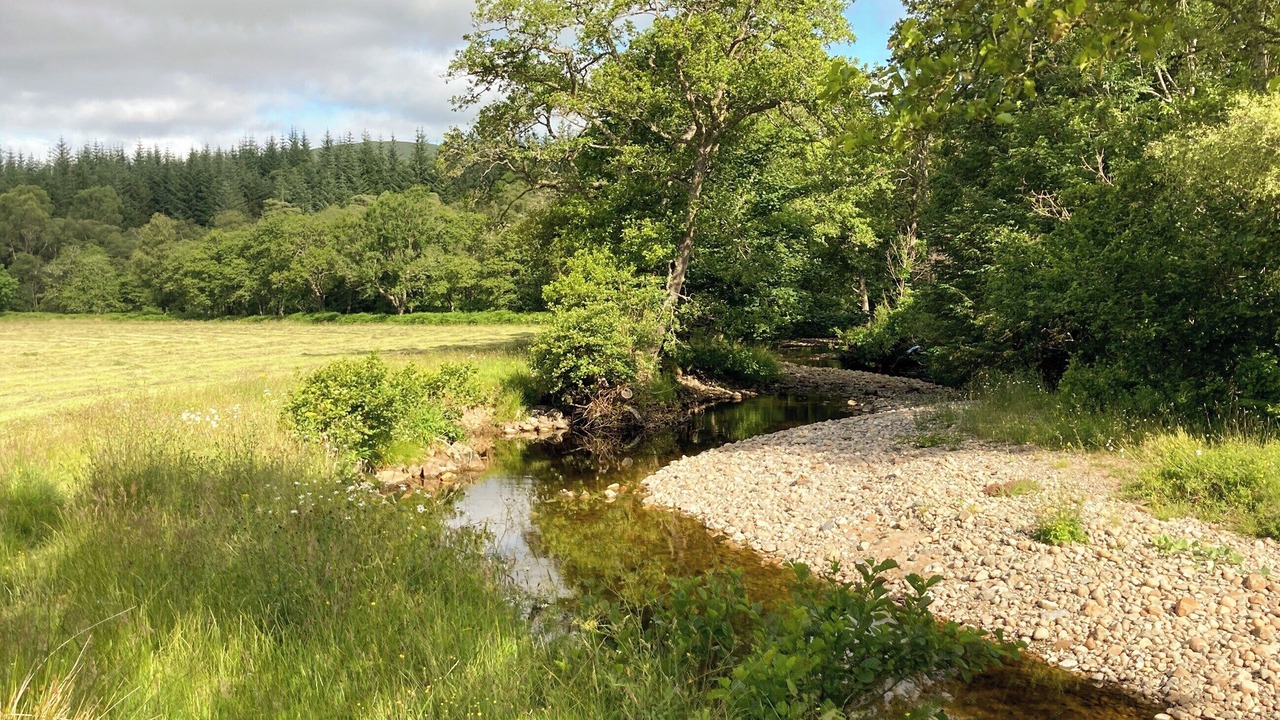 Photo of Others in Torlundy