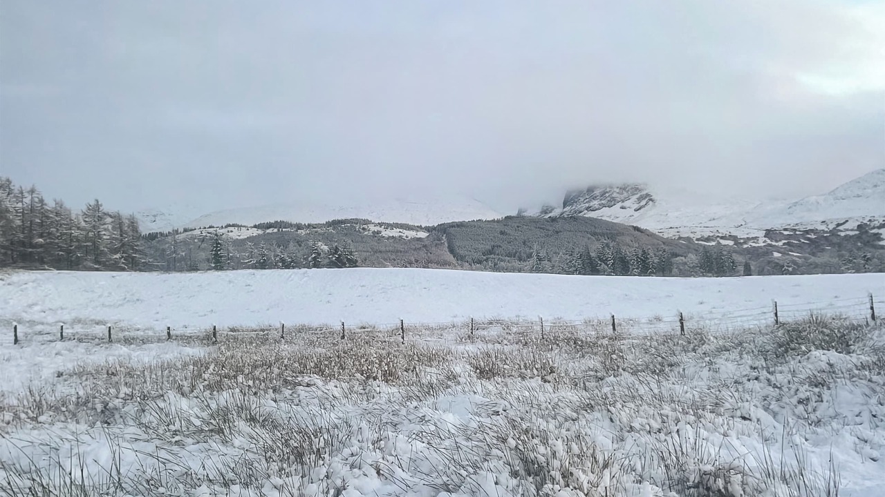 Photo of Others in Torlundy