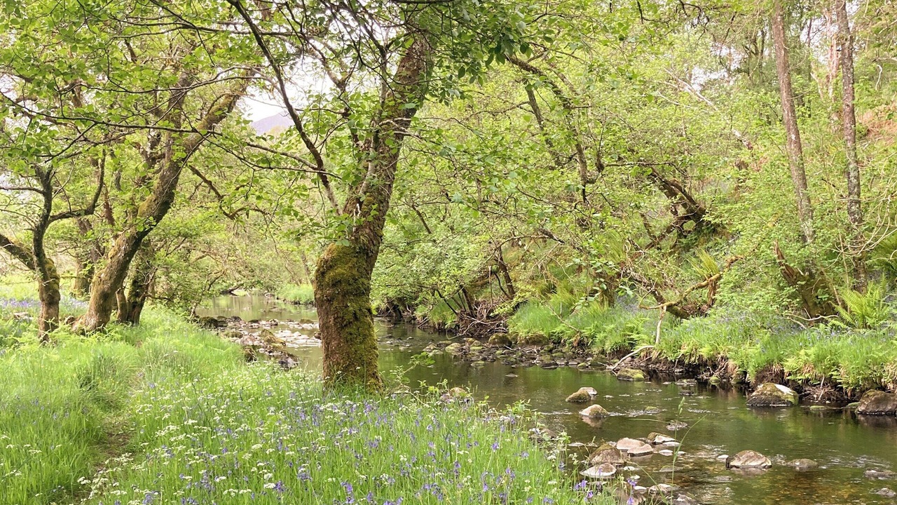 Photo of Others in Torlundy