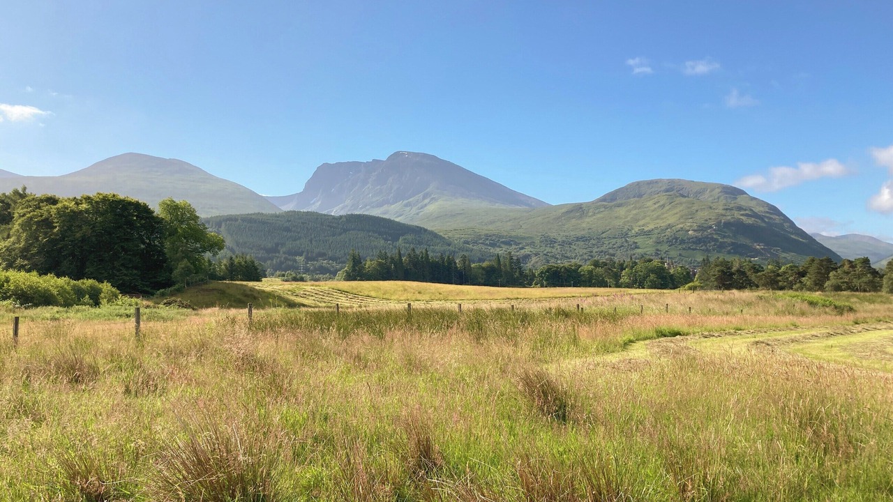 Photo of Others in Torlundy