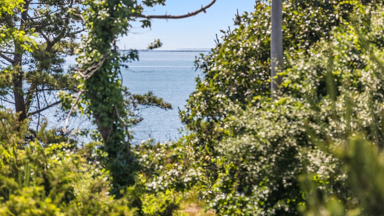 Photo of Others in North Eastham