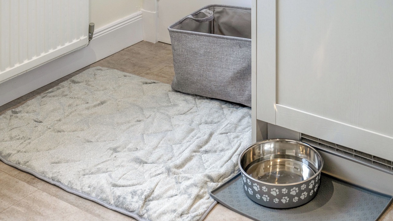 Photo of Others in Freuchie