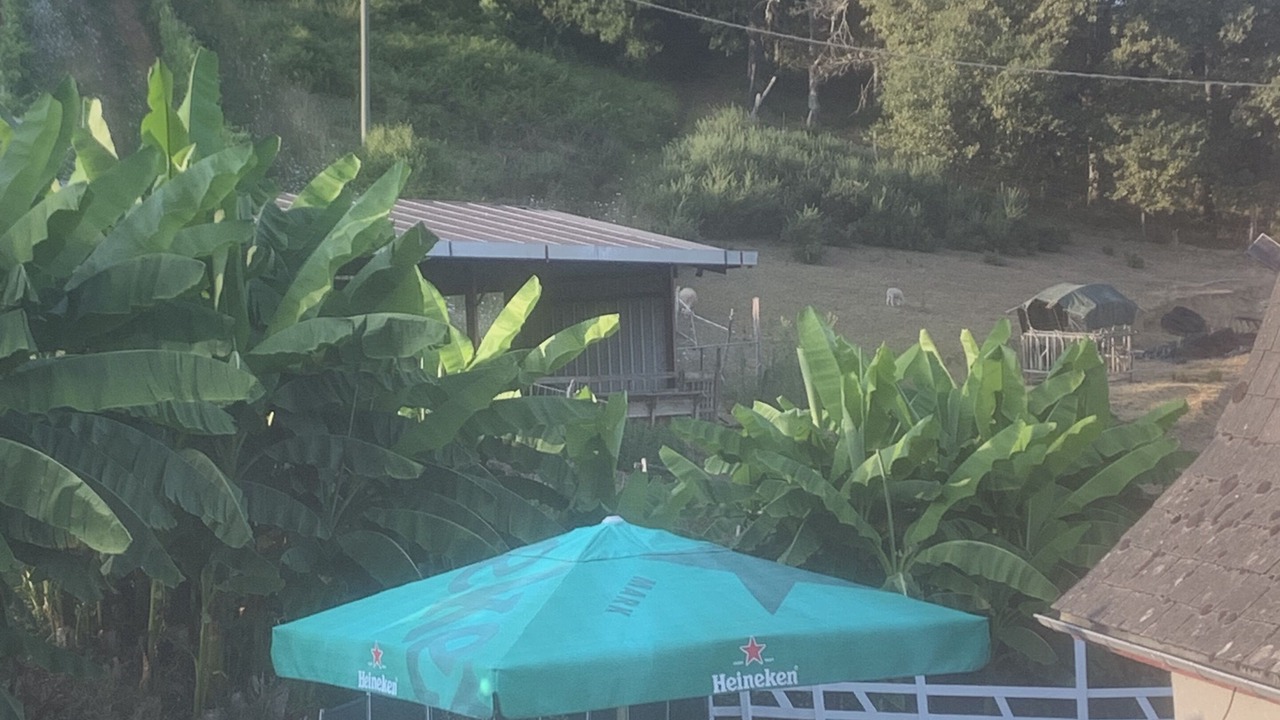 Photo of Outdoor in Lasseube