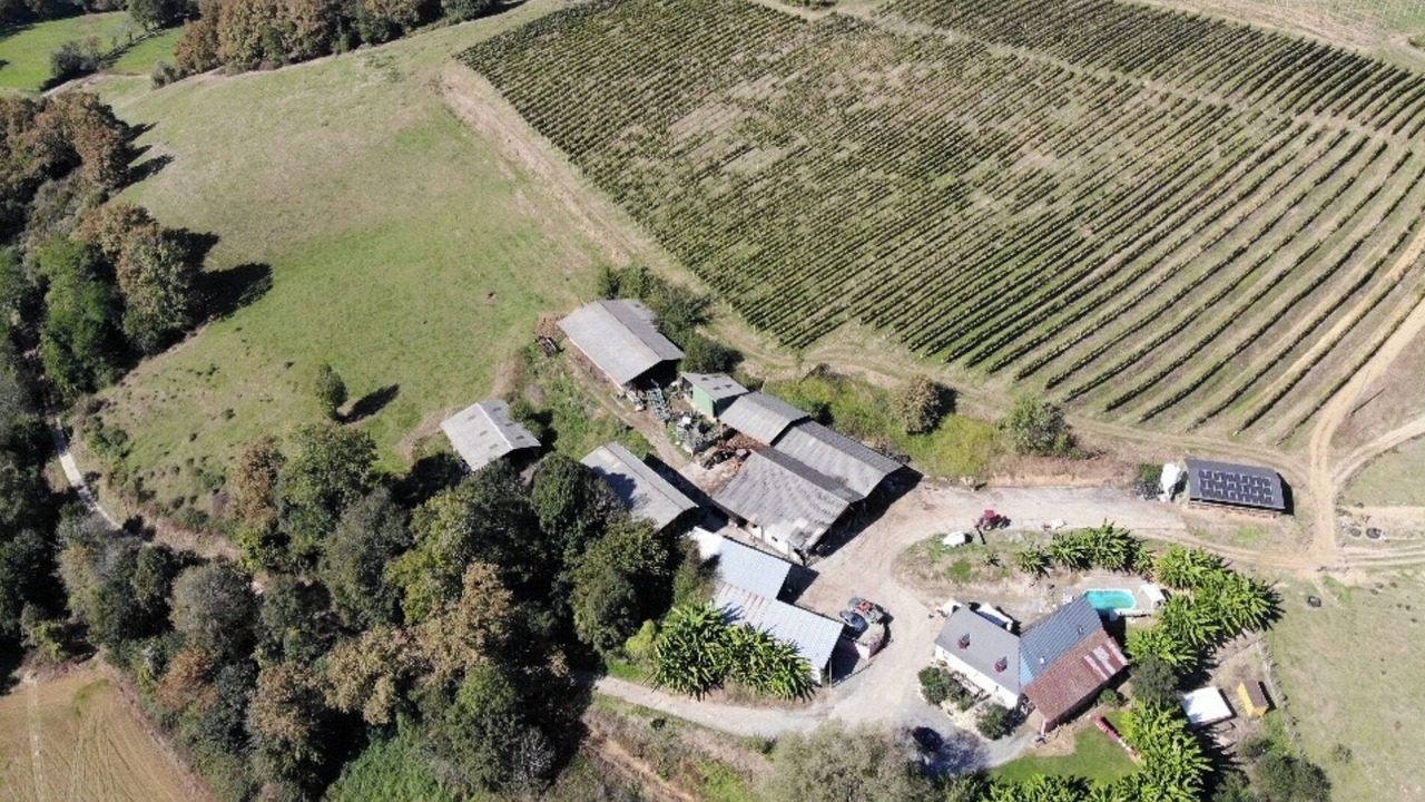 Photo of Outdoor in Lasseube