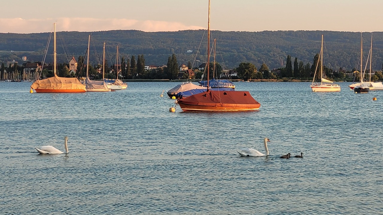 Photo of Others in Kreuzlingen