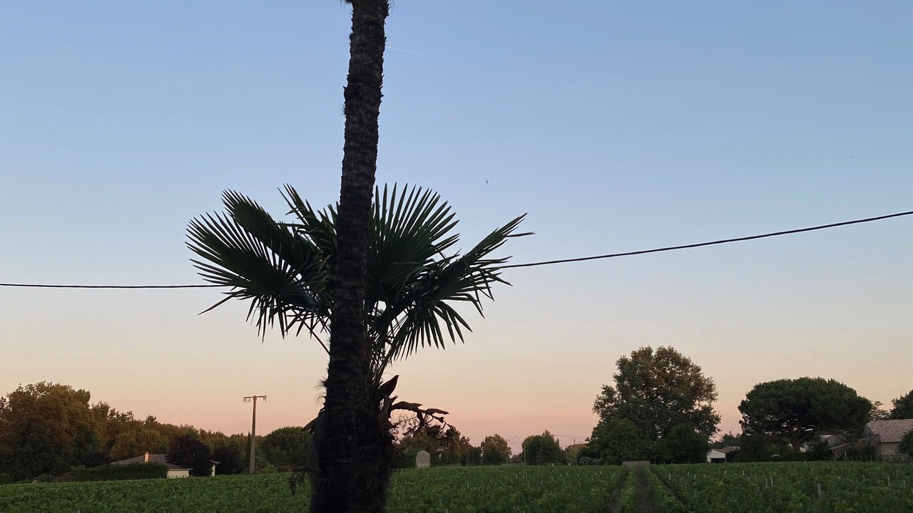 Photo of Outdoor in Moulis-en-Medoc