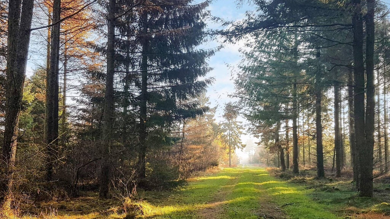 Photo of Outdoor in Arrild Ferieby