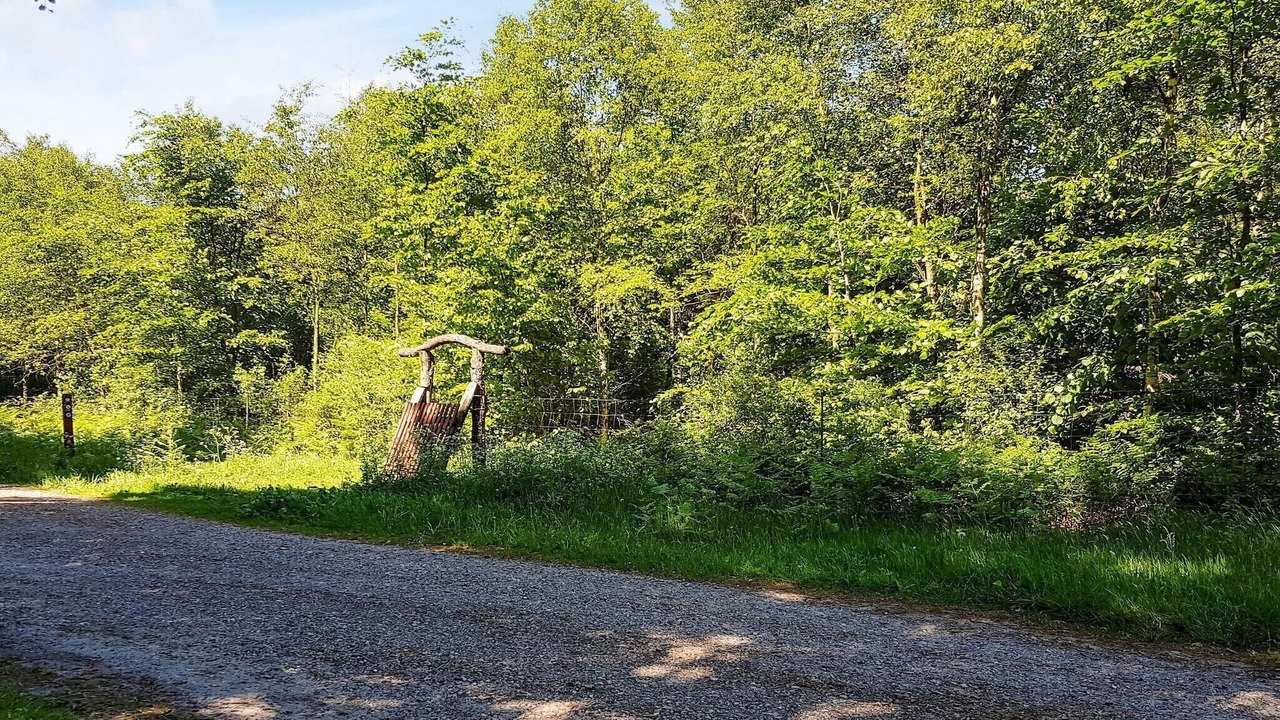 Photo of Outdoor in Arrild Ferieby