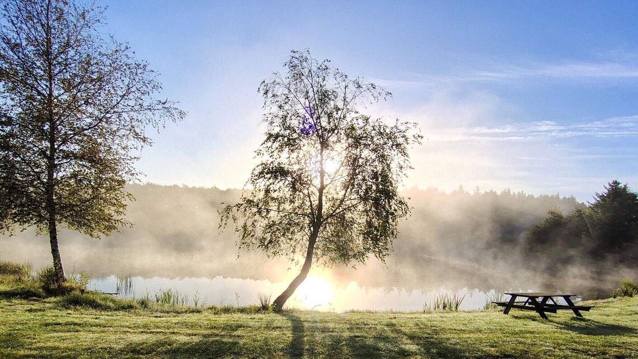Photo of Outdoor in Arrild Ferieby