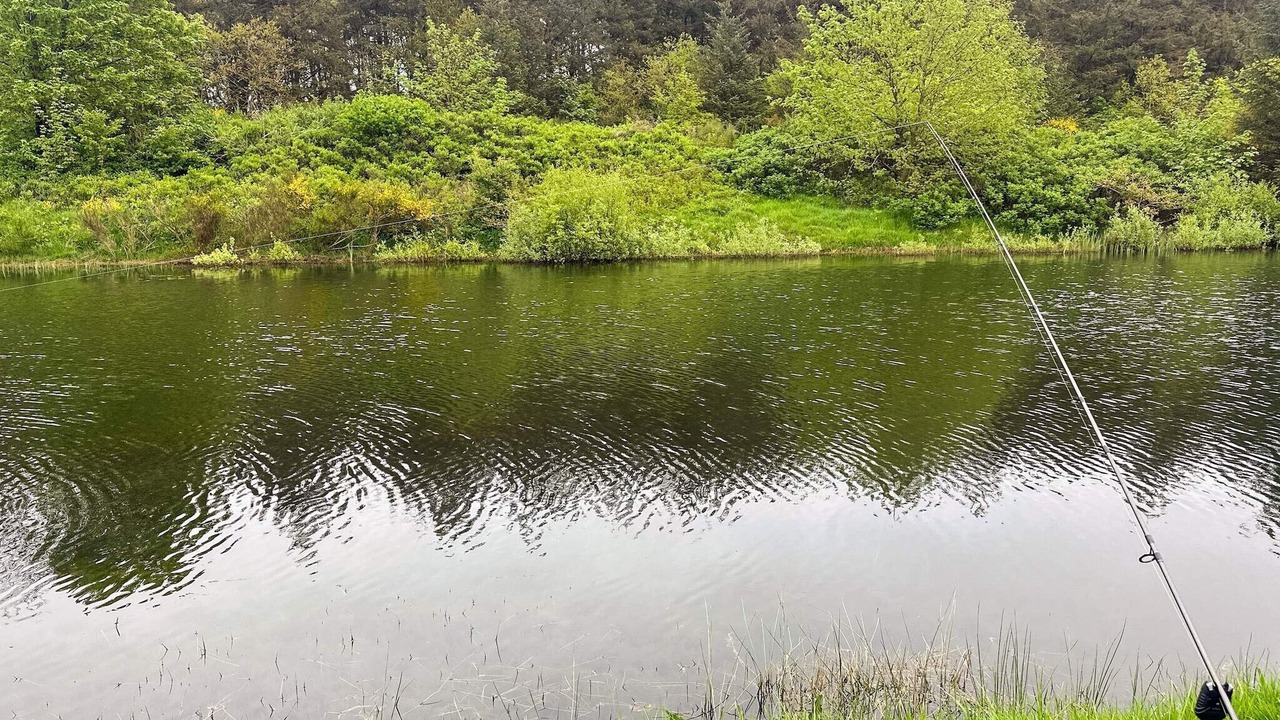 Photo of Outdoor in Arrild Ferieby