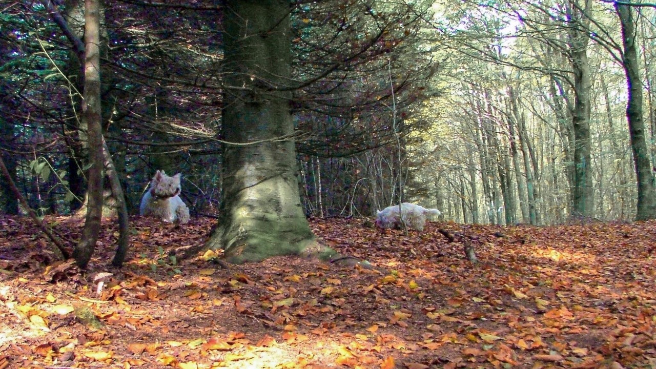 Photo of Outdoor in Arrild Ferieby