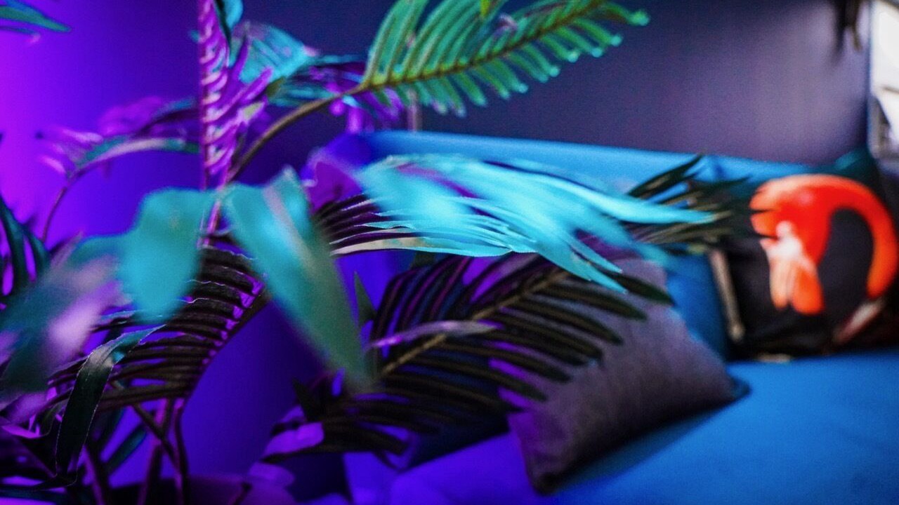 Photo of Others in Stevenage