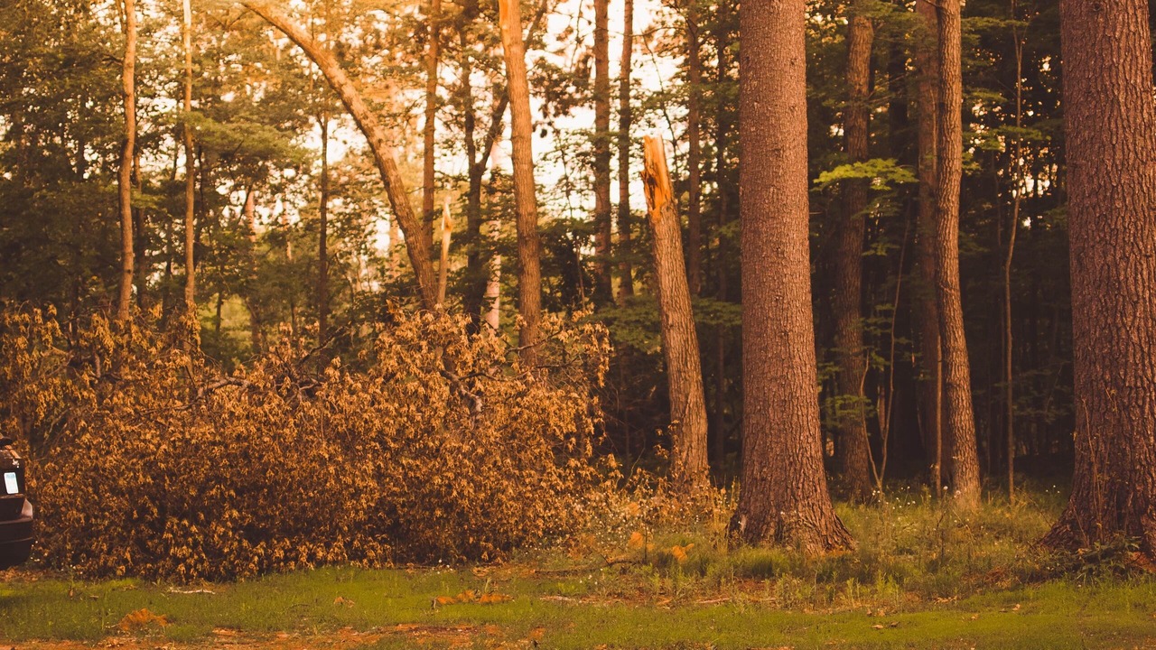 Photo of Outdoor in Brainerd