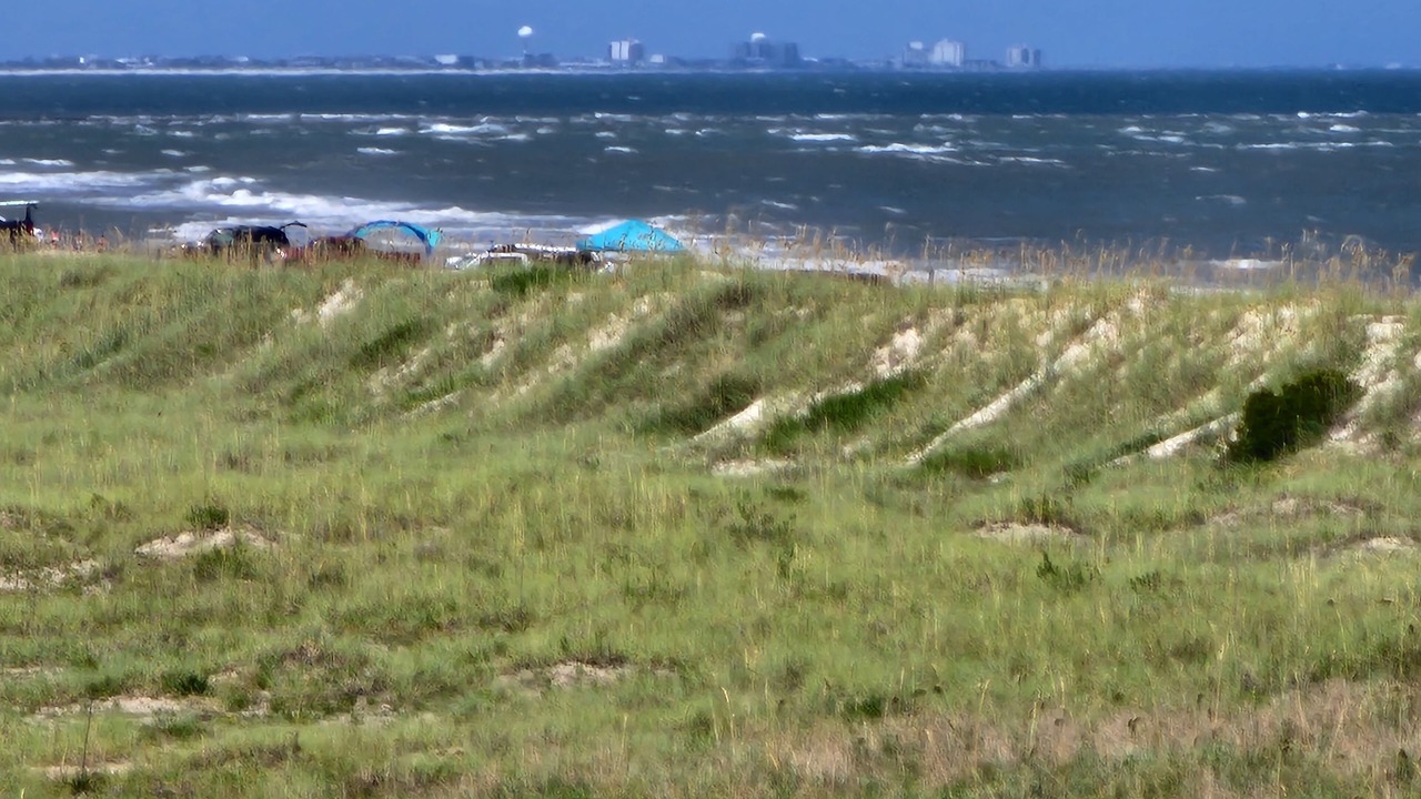 Photo of Others in North Carolina Coast