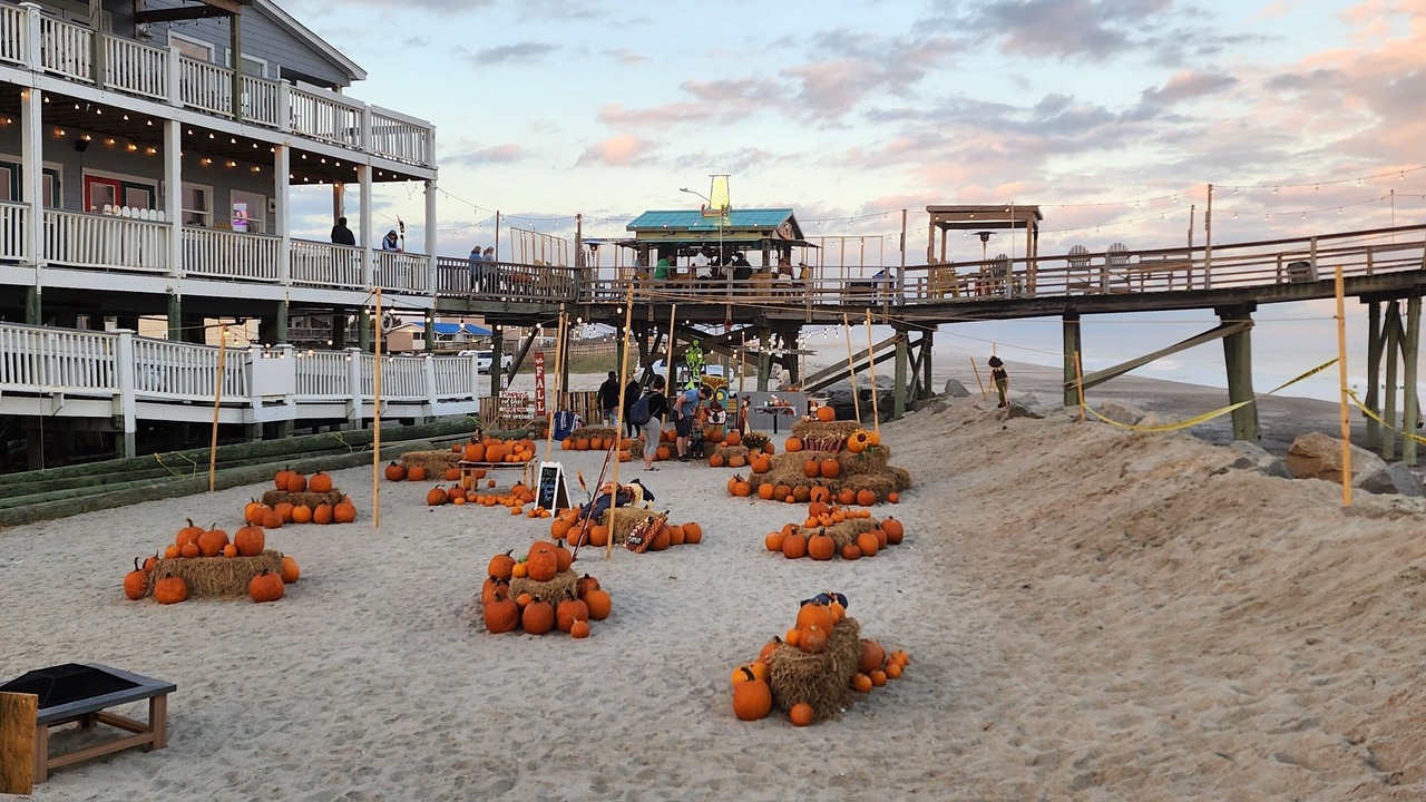 Photo of Others in North Carolina Coast