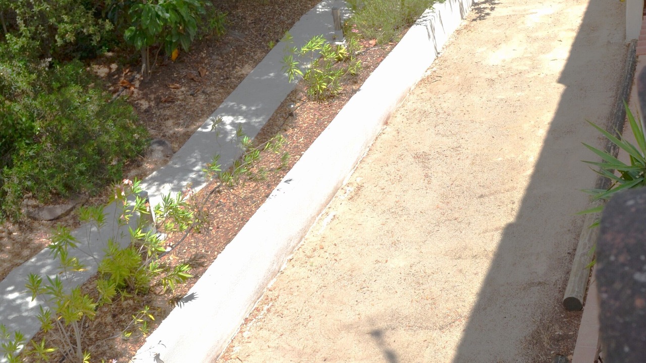 Photo of Outdoor in La Crau