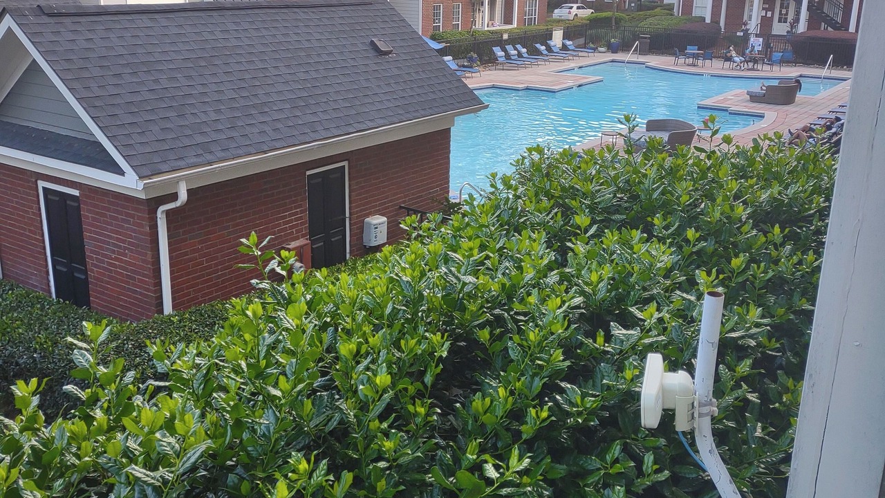 Photo of Outdoor in Buford Highway