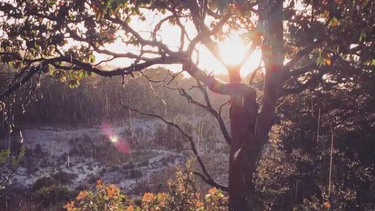 Photo of Others in Dripping Springs