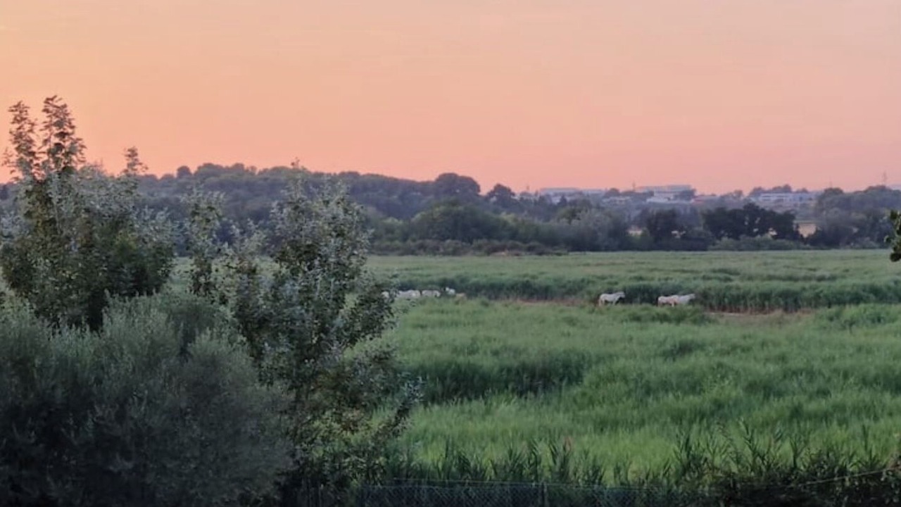 Photo of Outdoor in Villeneuve-les-Maguelone