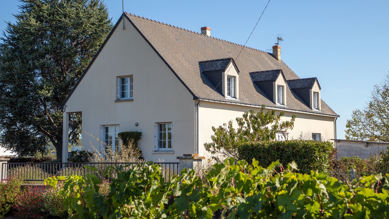 Photo of Outdoor in Saint-Nicolas-de-Bourgueil