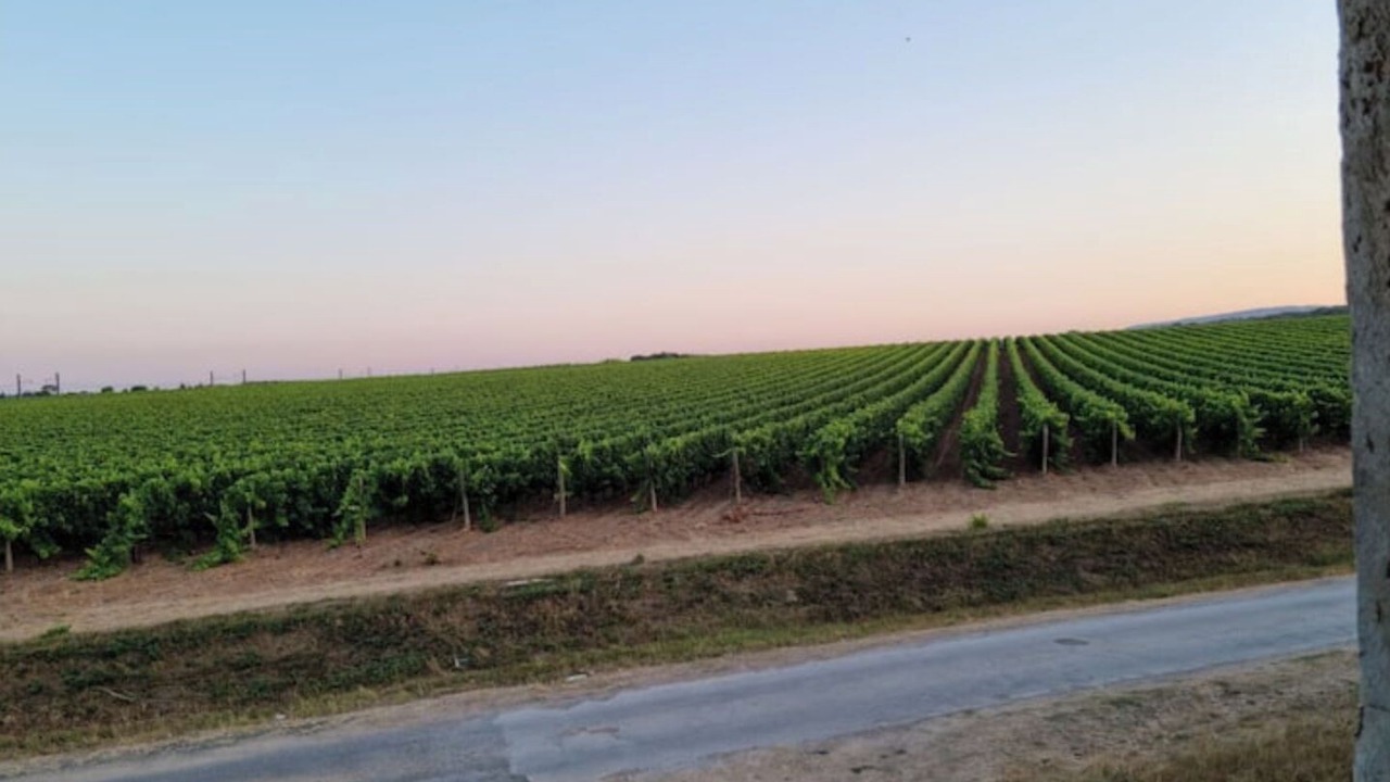 Photo of Outdoor in Villeneuve-les-Maguelone