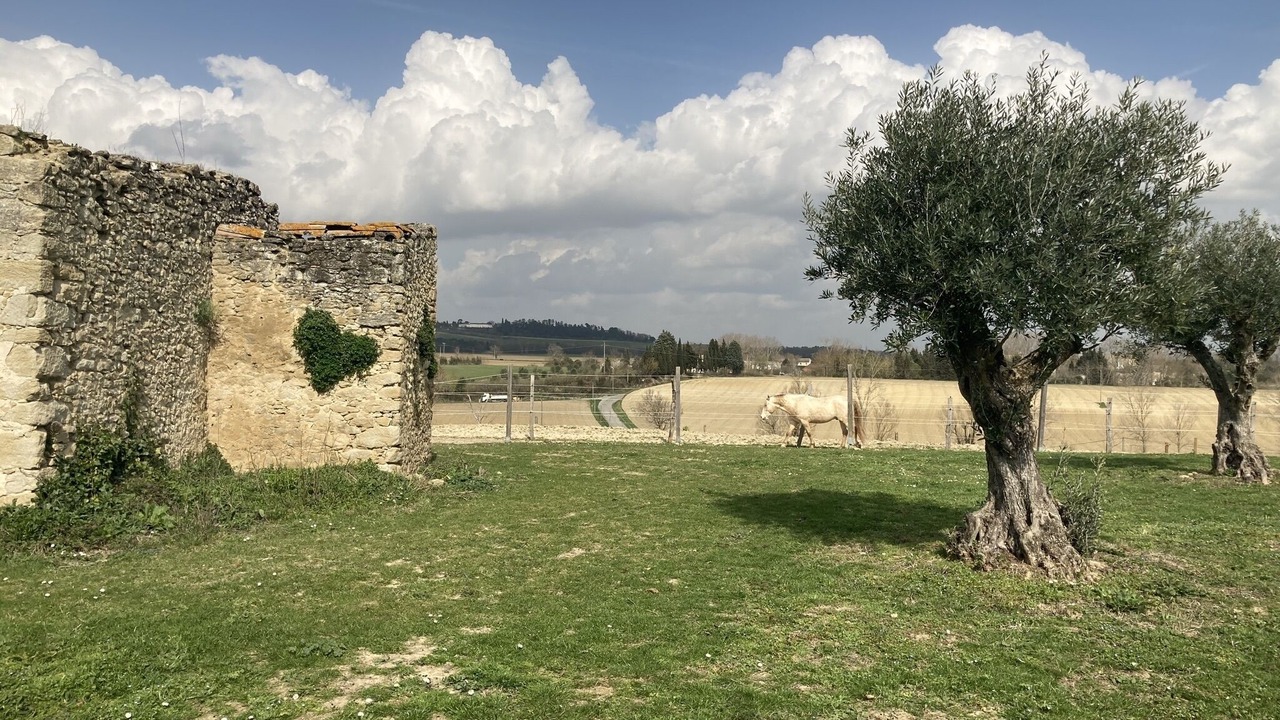 Photo of Outdoor in Labastide-d'Anjou
