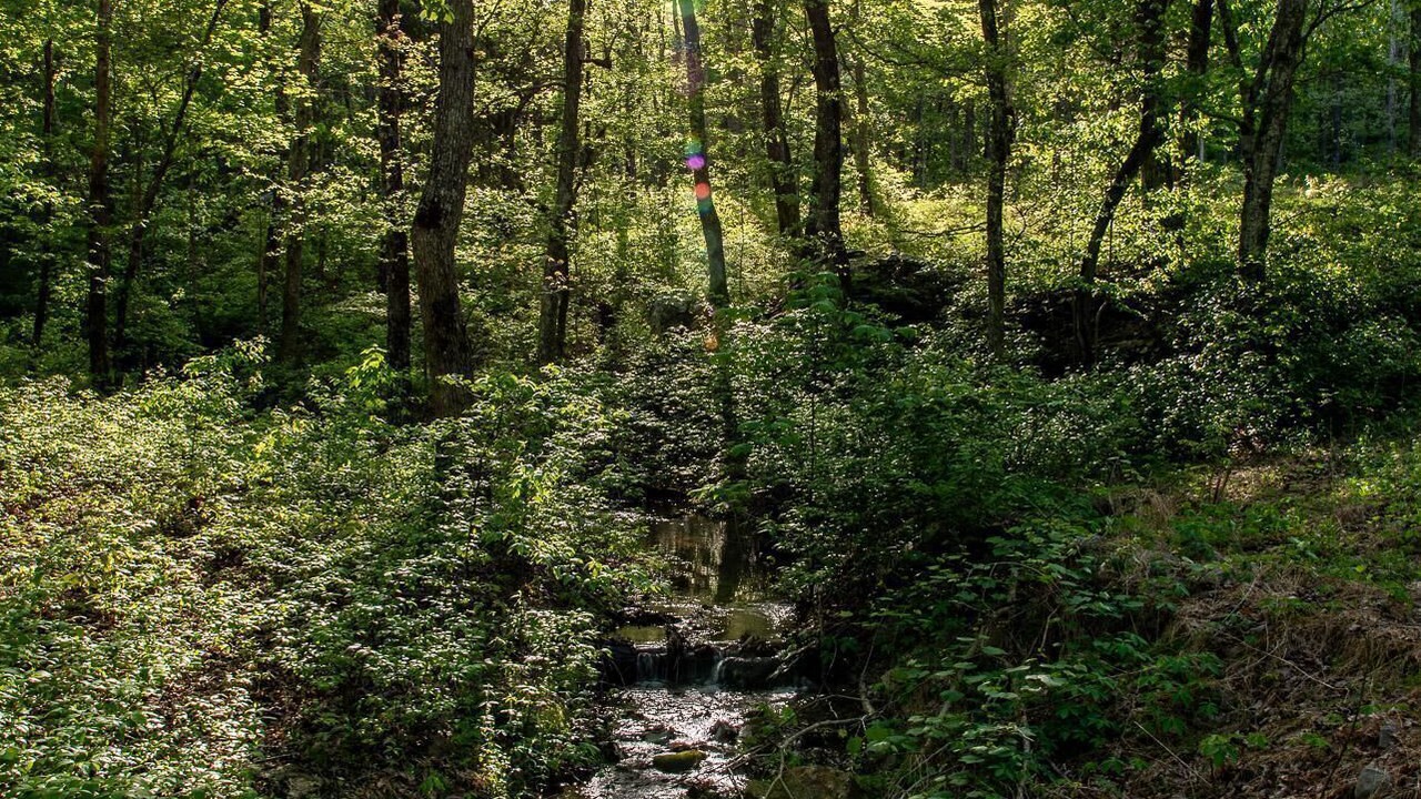 Photo of Others in Beersheba Springs