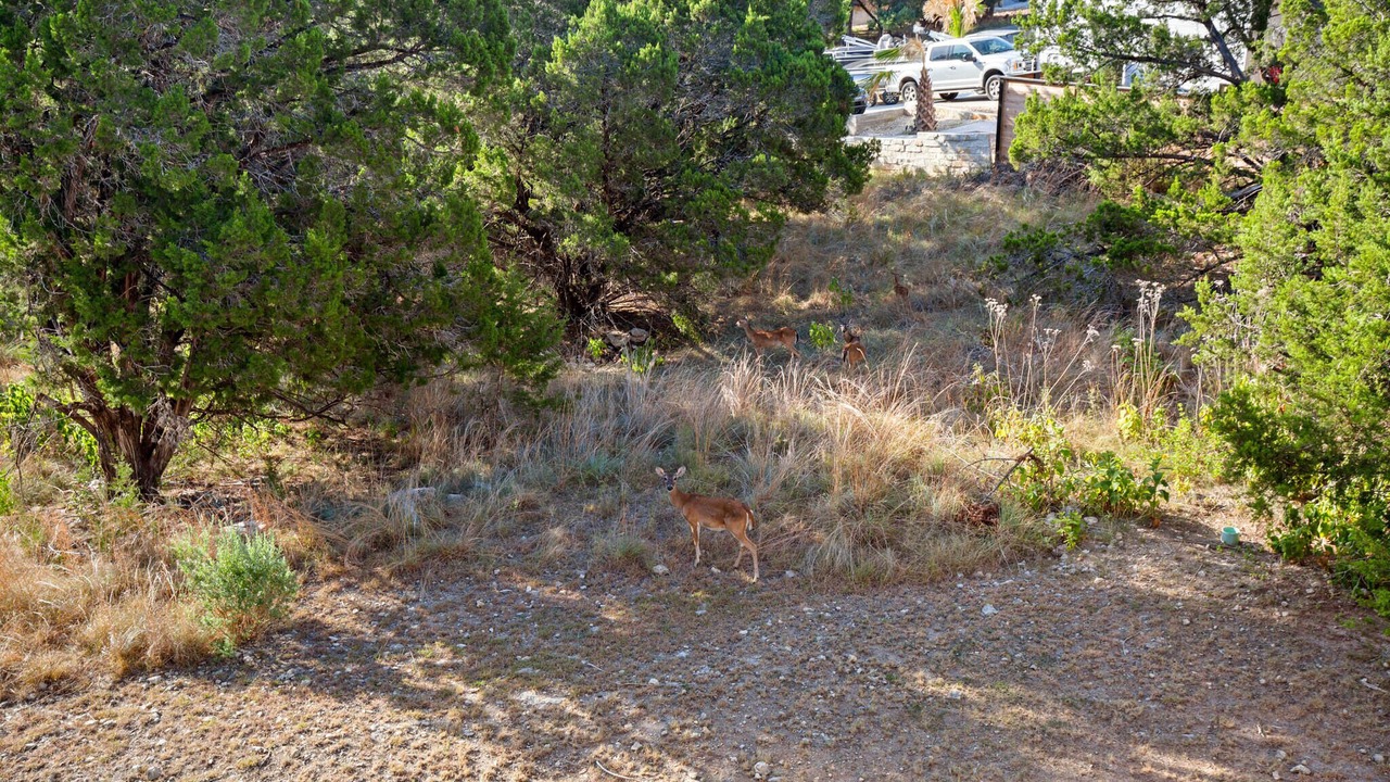 Photo of Outdoor in Waterford On Lake Travis