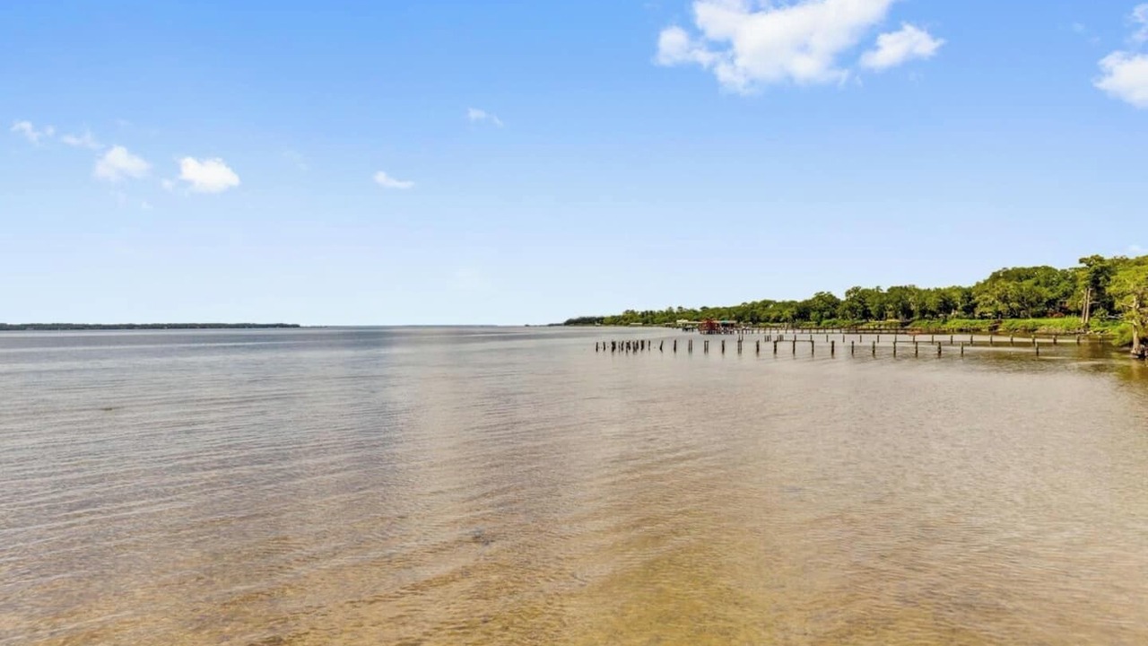 Photo of Others in Orange Park