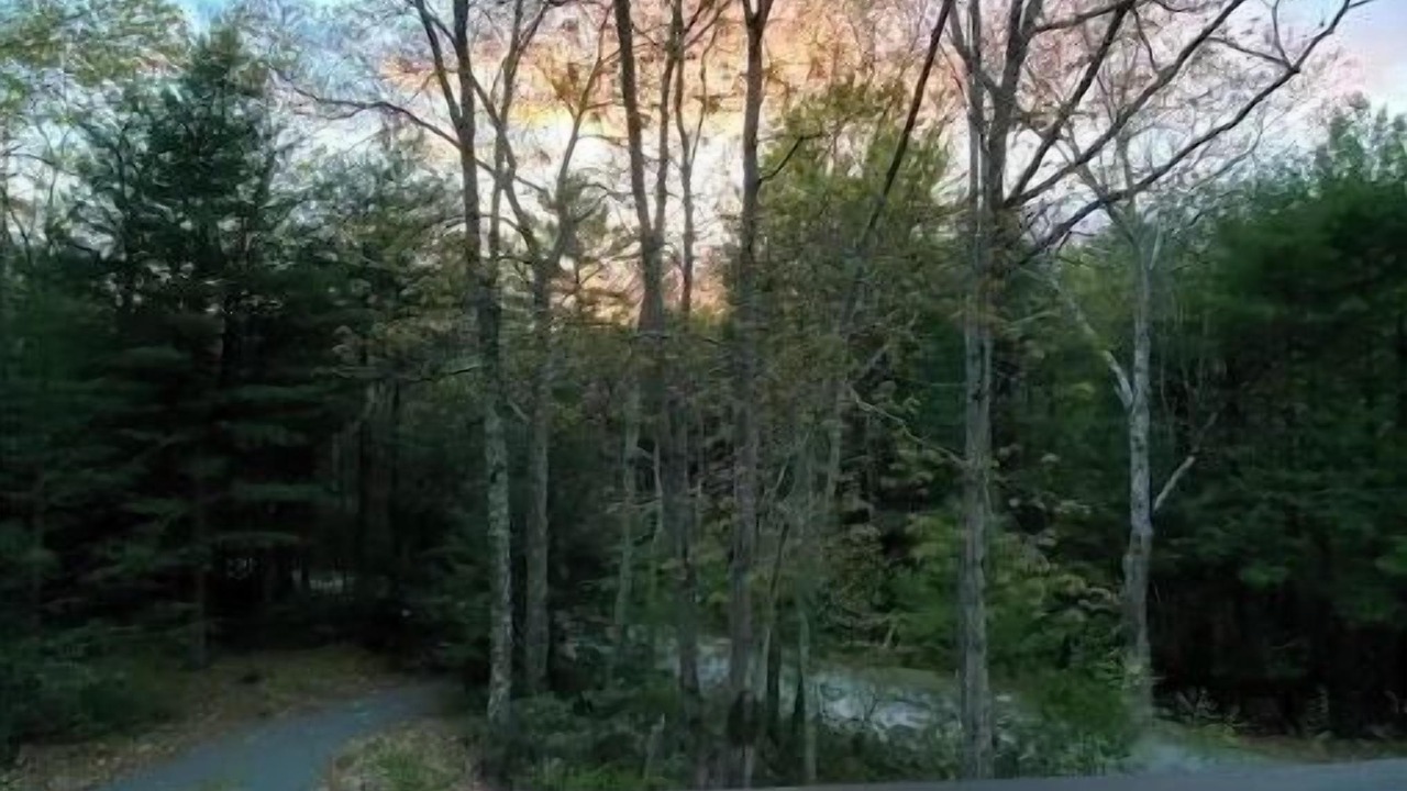 Photo of Others in Cuddebackville