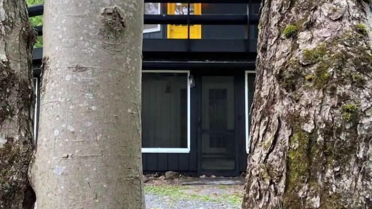 Photo of Outdoor in Cuddebackville