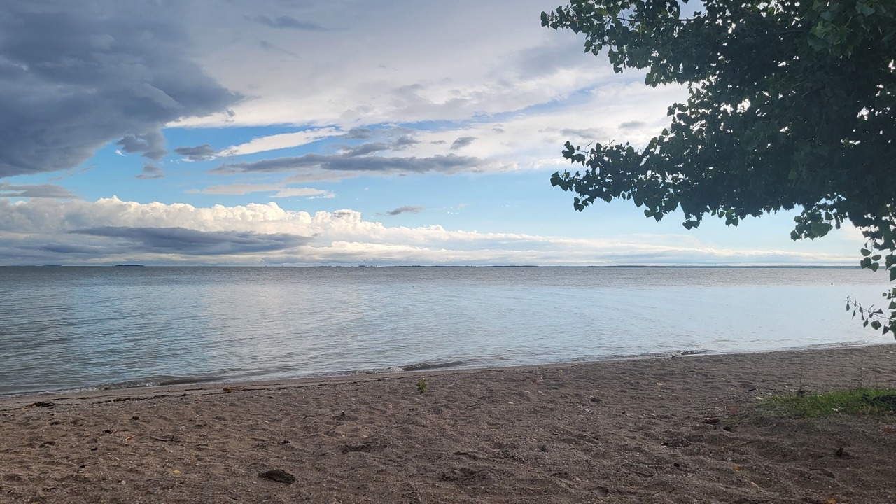 Photo of Others in Gladstone