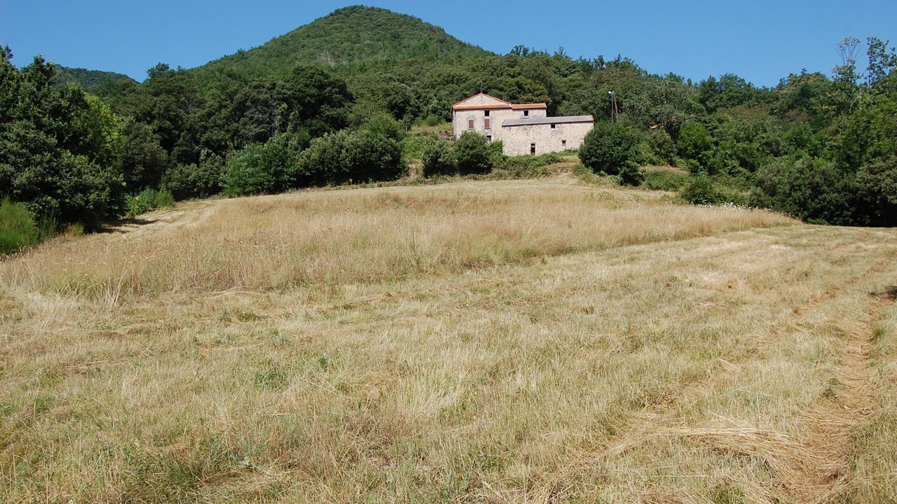 Photo of Outdoor in Serralongue