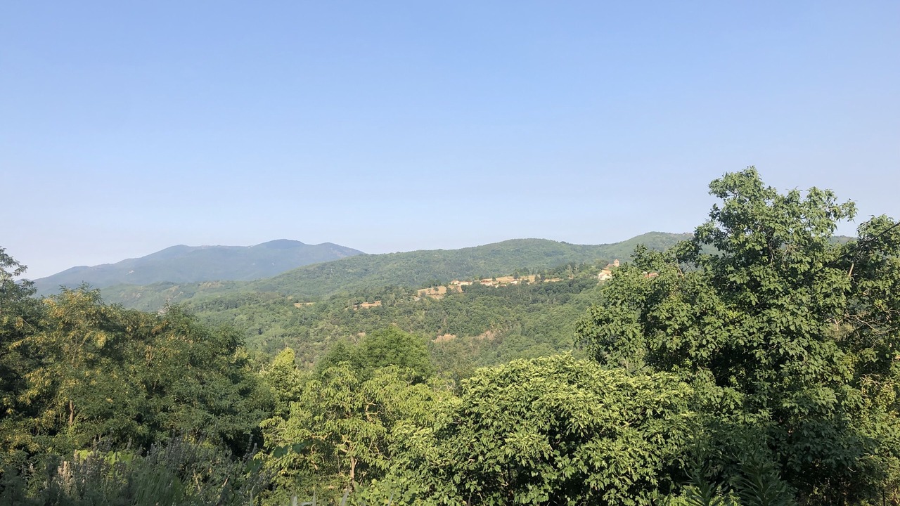 Photo of Outdoor in Serralongue