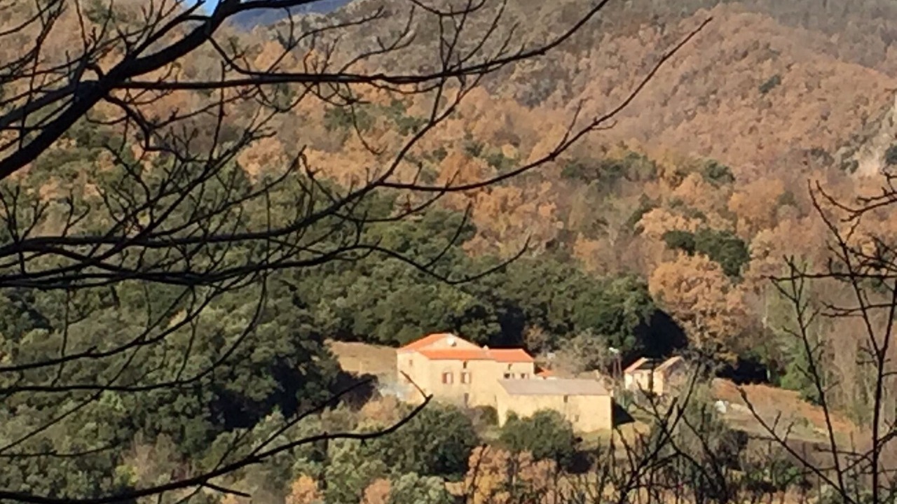 Photo of Others in Serralongue