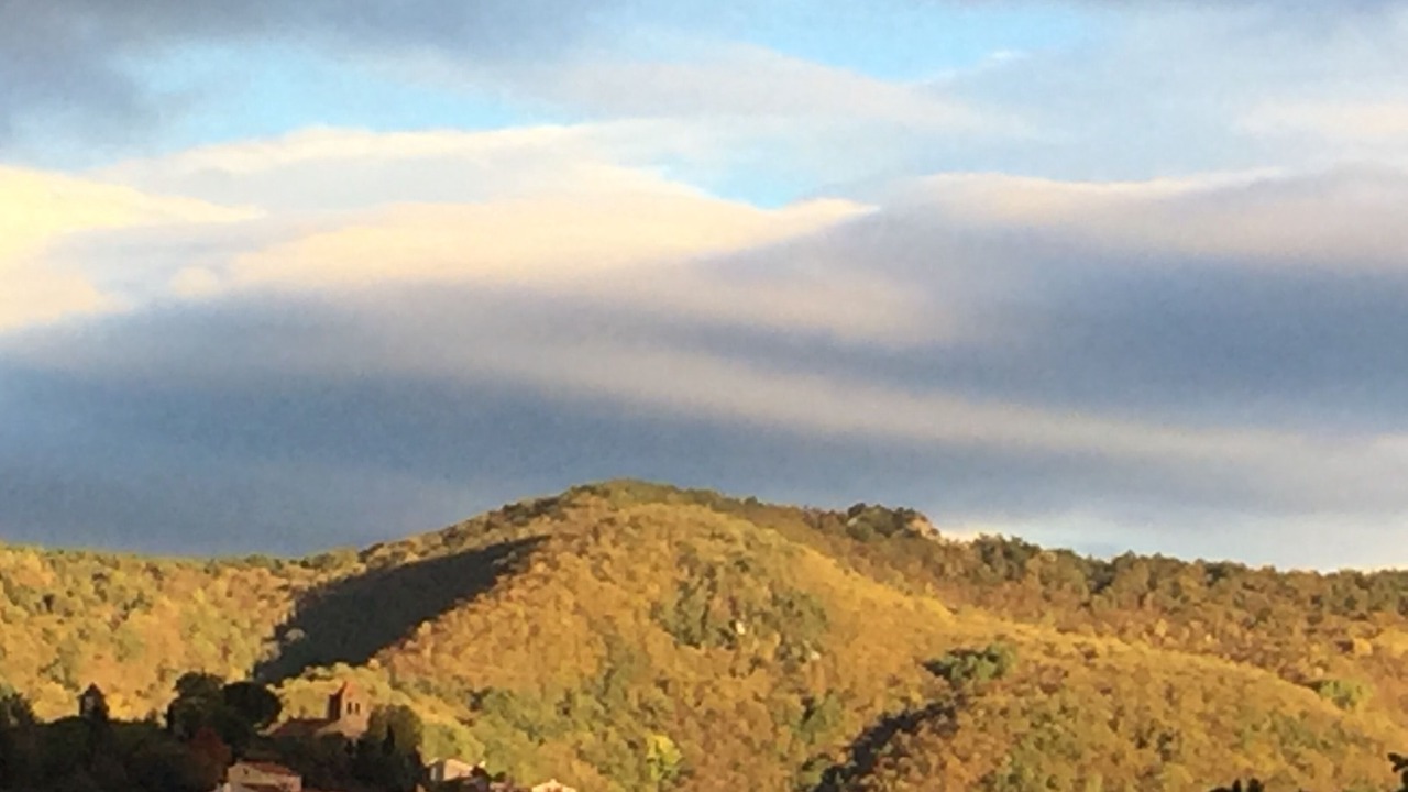 Photo of Others in Serralongue